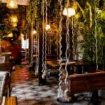la selva un encanto especial en barcelona