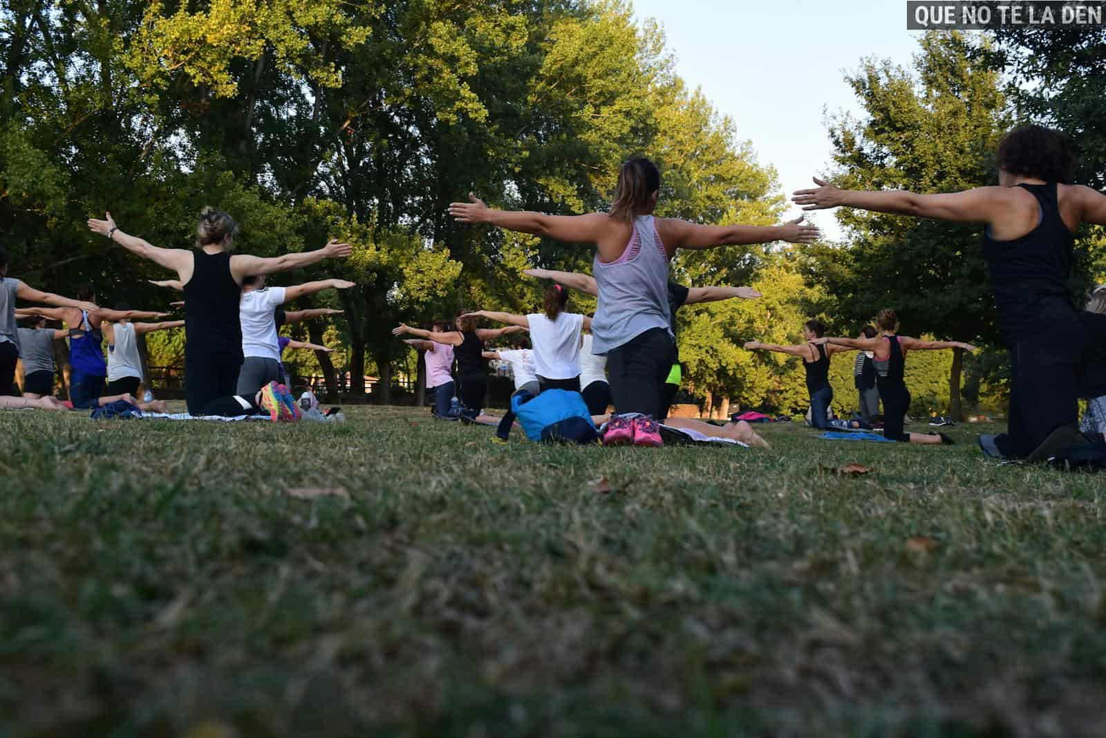 Women Performing Yoga on Green Grass Near Trees