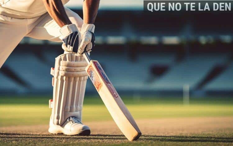 cricket, sports, athlete