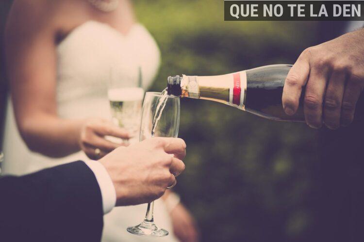 brindis