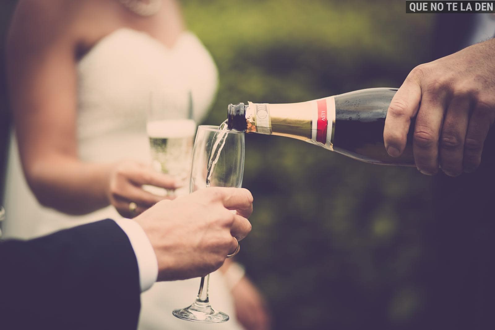 brindis